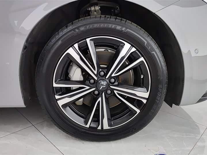 Фото 6 - Hongqi EH7