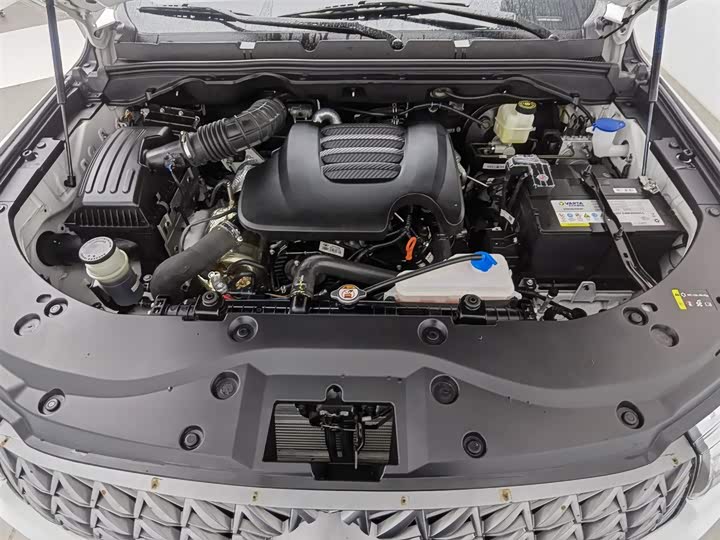 Фото 6 - Great Wall Pao