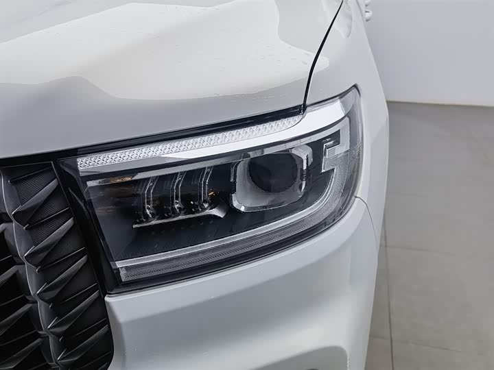 Фото 7 - Great Wall Pao