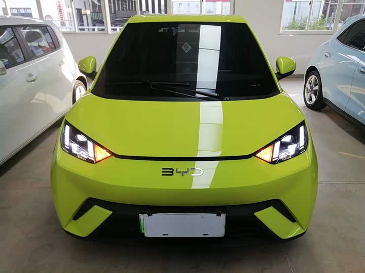 Фото 3 - BYD Seagull