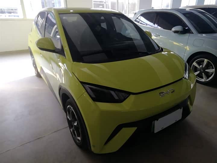 Фото 4 - BYD Seagull