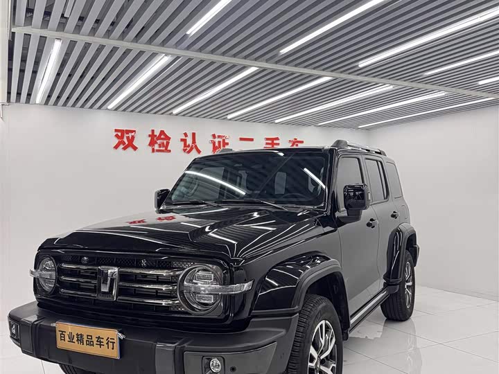 Фото 2 - Tank 300