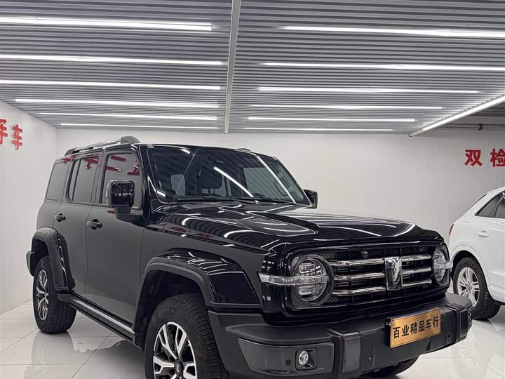 Фото 3 - Tank 300