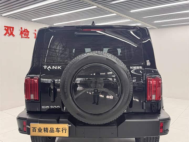 Фото 7 - Tank 300