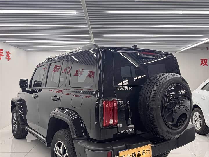 Фото 9 - Tank 300