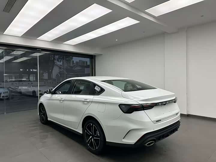 Фото 9 - Geely Binrui