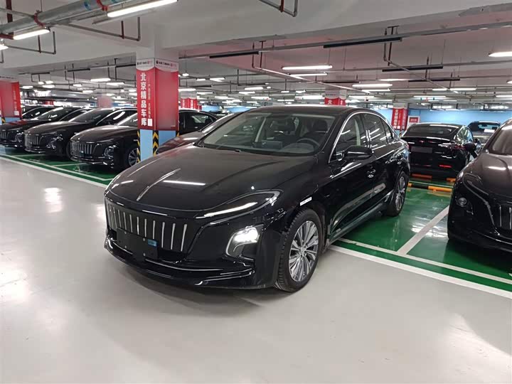 Фото 1 - Hongqi E-QM5