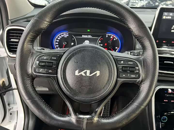 Фото 12 - Kia KX5