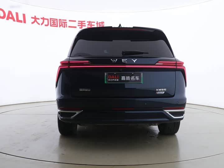 Фото 8 - Wey Lanshan