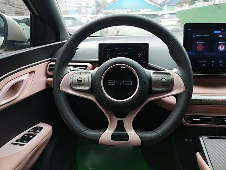 Фото 11 - BYD Seagull