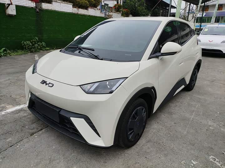 Фото 2 - BYD Seagull