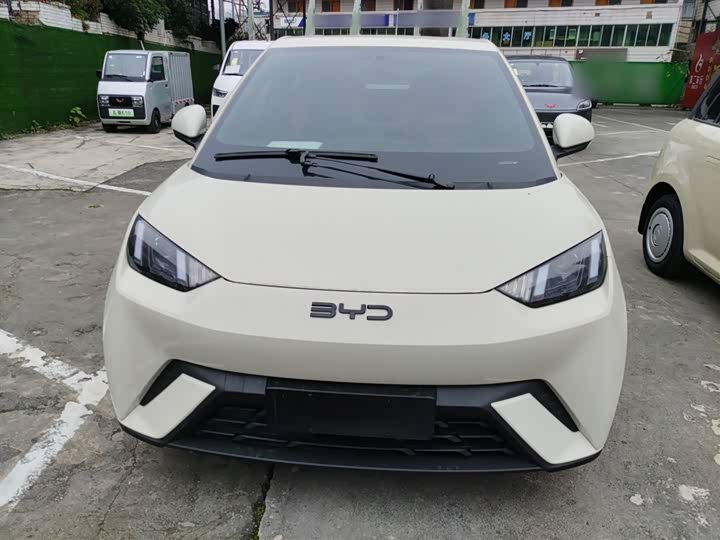 Фото 3 - BYD Seagull