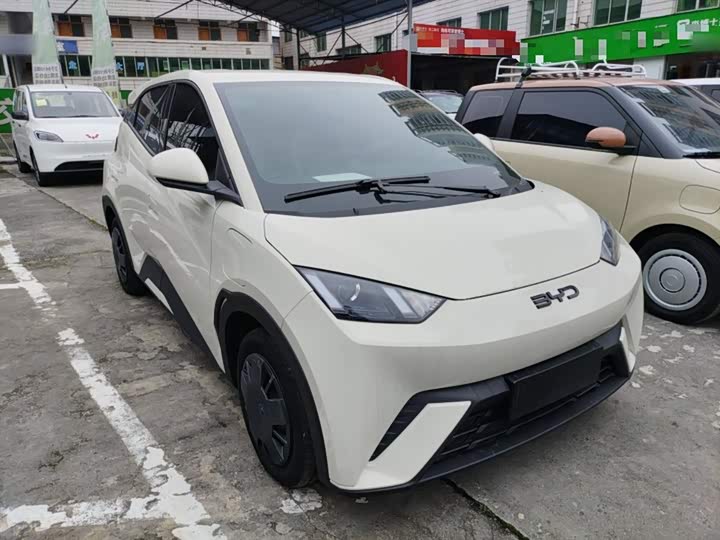 Фото 4 - BYD Seagull