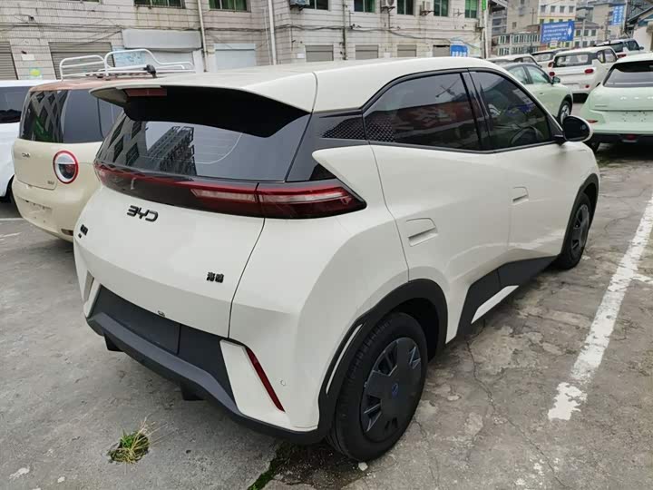 Фото 7 - BYD Seagull