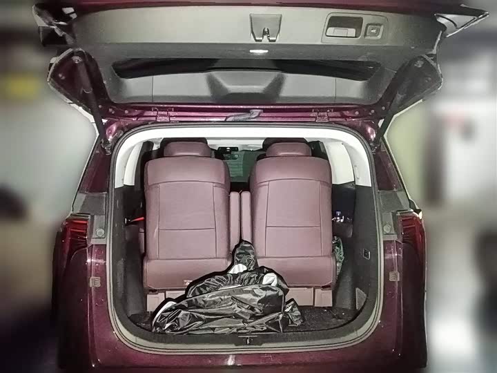 Фото 10 - Buick GL8 Century