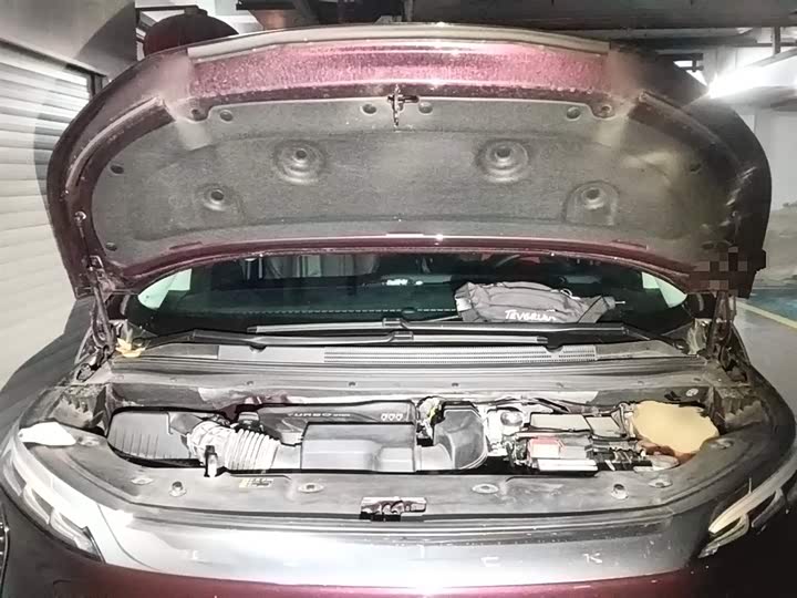 Фото 11 - Buick GL8 Century