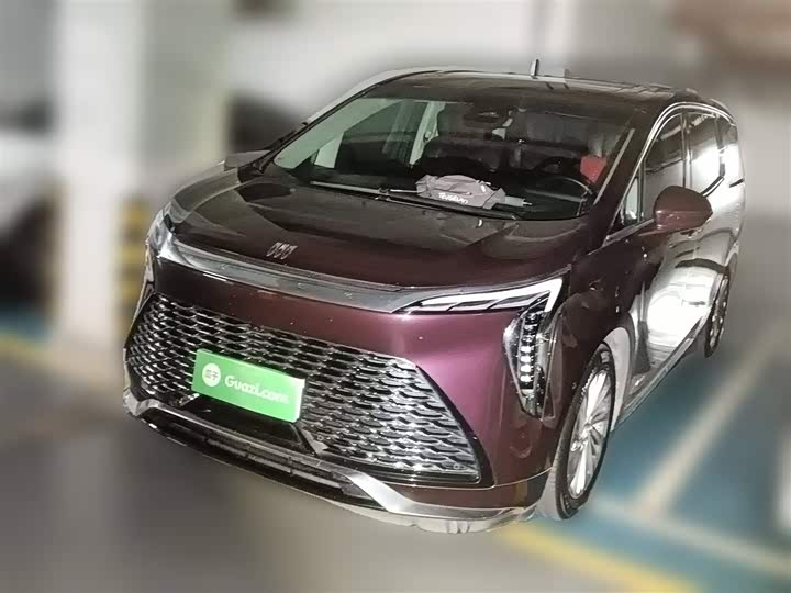 Фото 2 - Buick GL8 Century