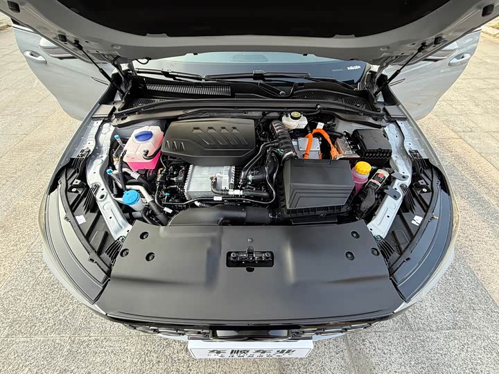 Фото 32 - Chery Fulwin A8L