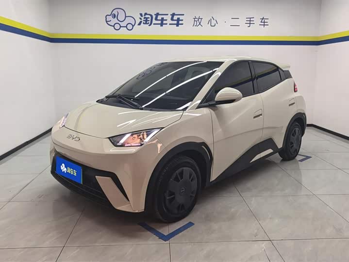 Фото 1 - BYD Seagull