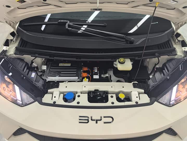 Фото 10 - BYD Seagull