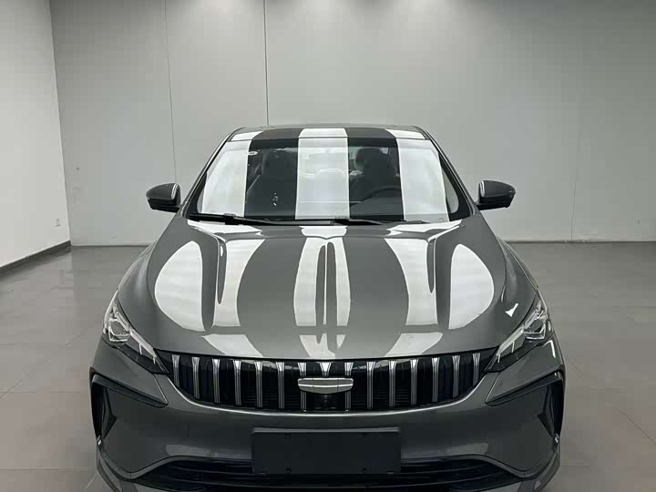 Фото 2 - Geely Binrui