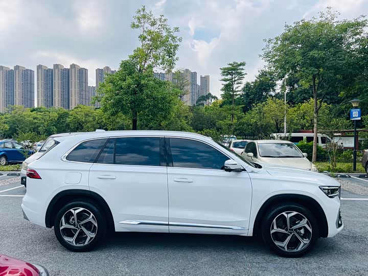 Фото 7 - Geely Monjaro