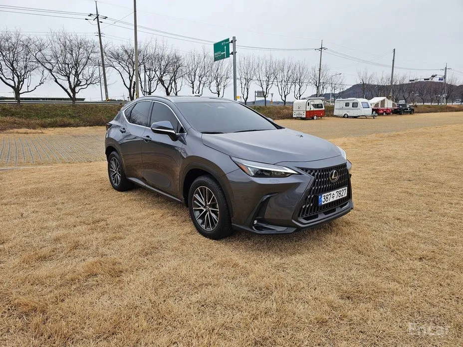 Фото 1 - Lexus NX