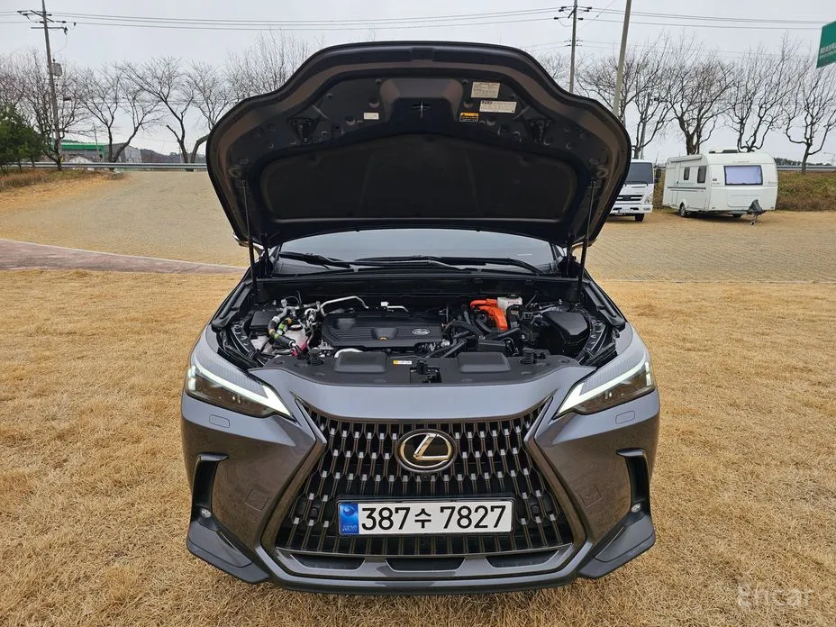 Фото 11 - Lexus NX