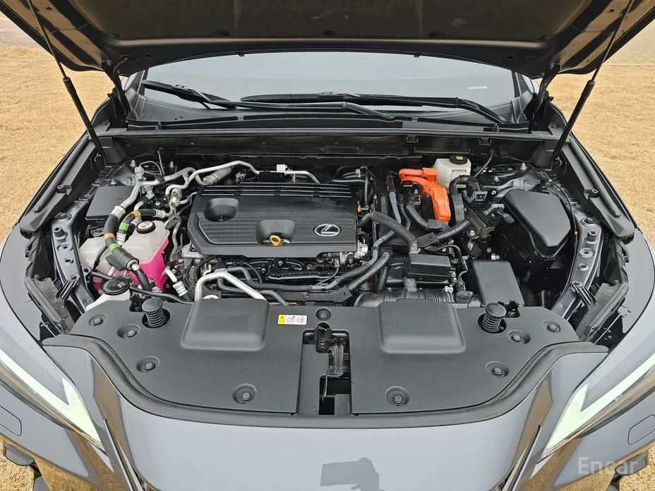 Фото 12 - Lexus NX