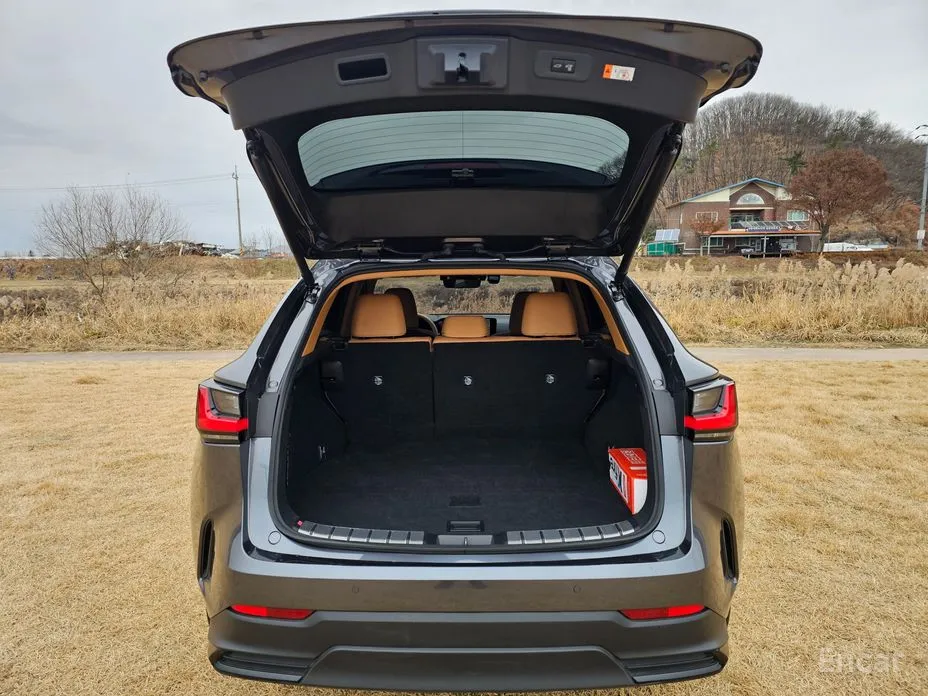 Фото 13 - Lexus NX