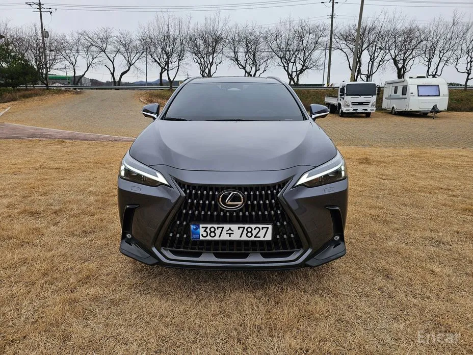 Фото 2 - Lexus NX