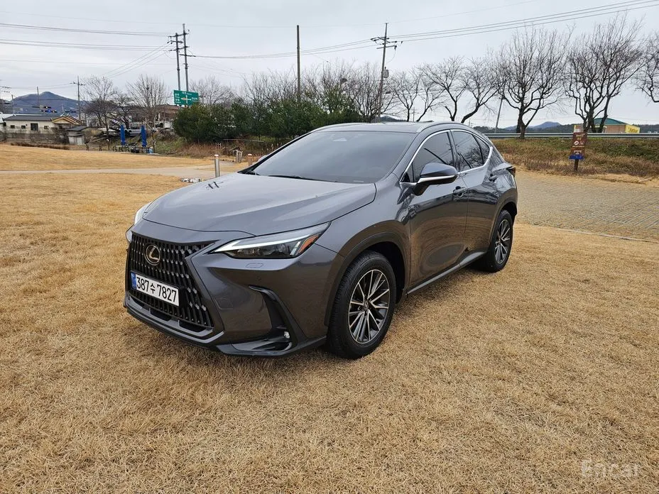Фото 3 - Lexus NX