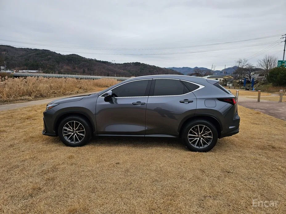 Фото 4 - Lexus NX