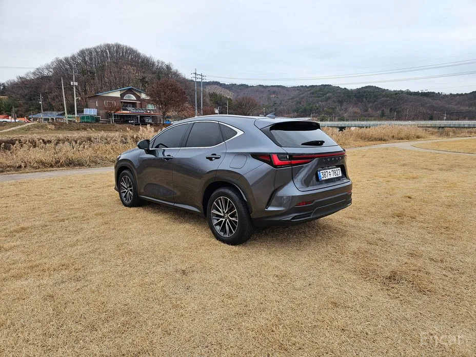 Фото 5 - Lexus NX