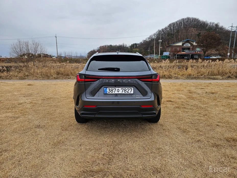 Фото 6 - Lexus NX