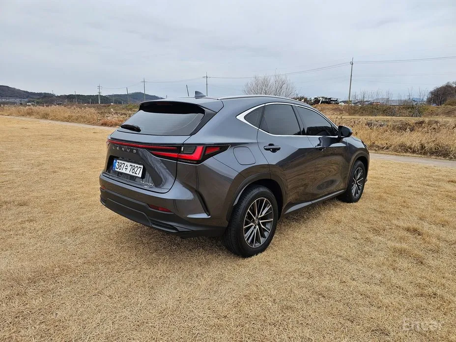 Фото 7 - Lexus NX