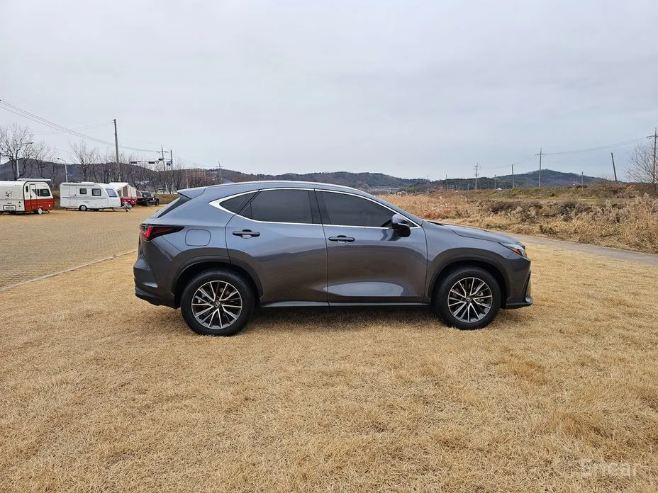 Фото 8 - Lexus NX