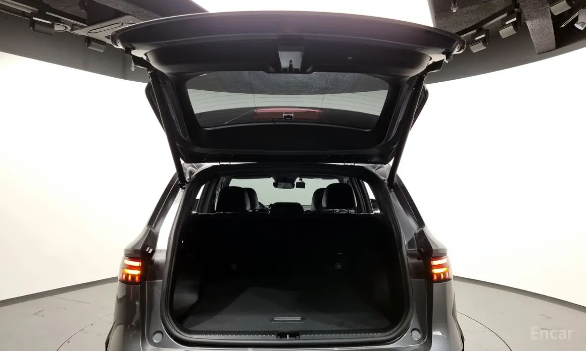 Фото 20 - Renault Grand Koleos