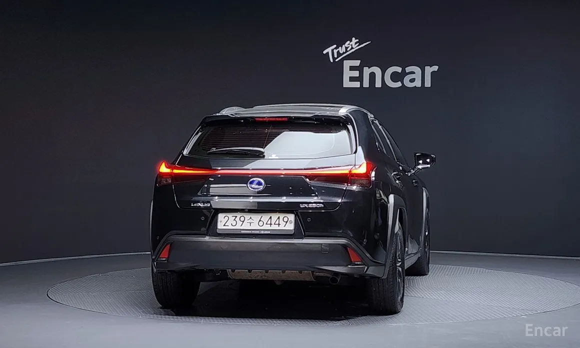 Фото 4 - Lexus UX