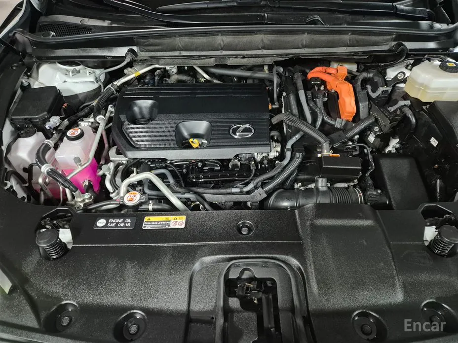 Фото 6 - Lexus RX