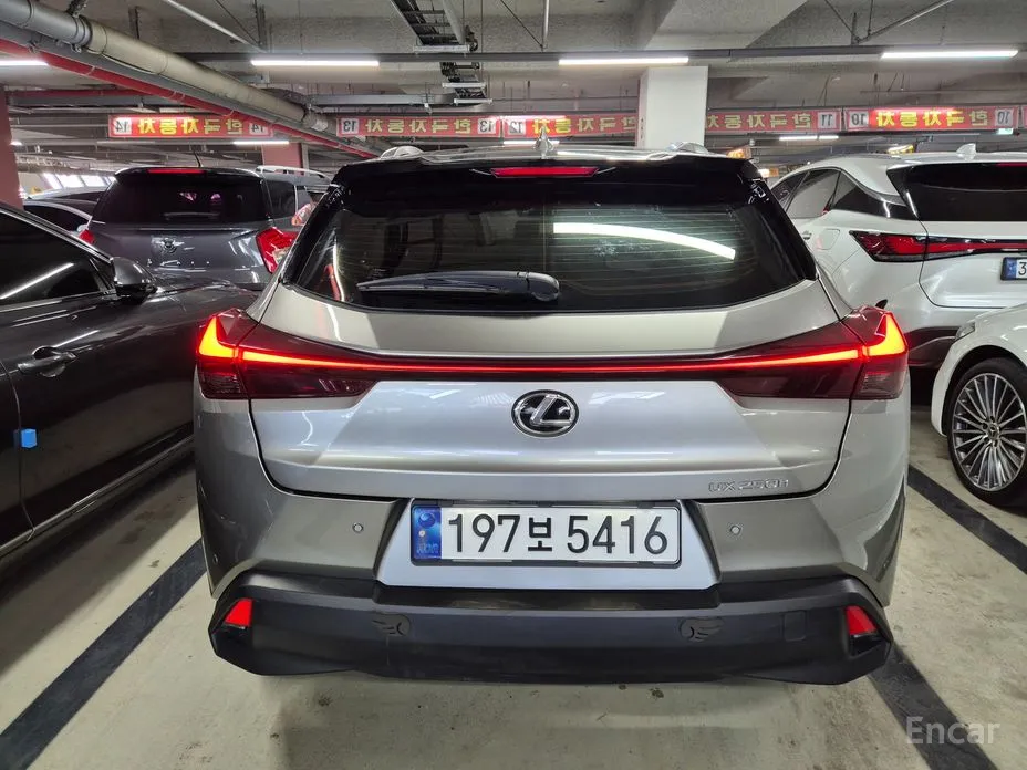 Фото 3 - Lexus UX