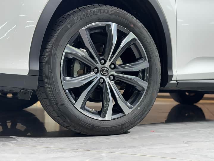 Фото 19 - Lexus RX