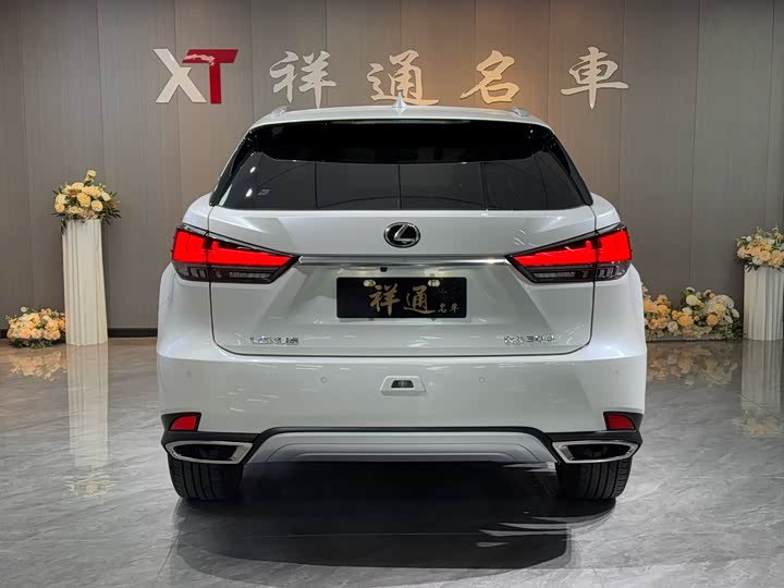 Фото 22 - Lexus RX
