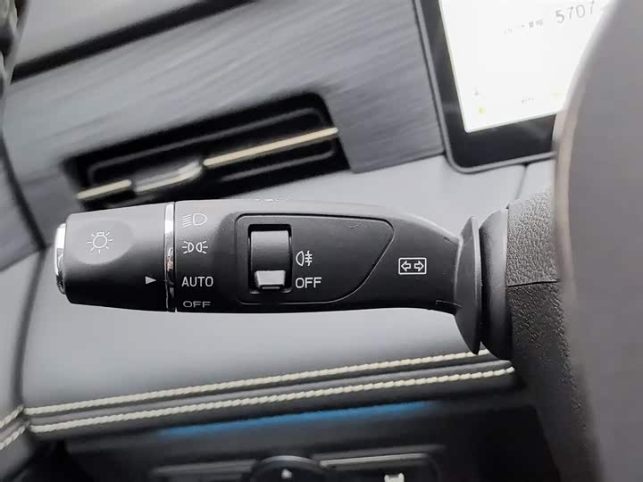 Фото 21 - Jetour Shanhai L9