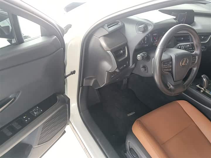 Фото 16 - Lexus UX Hybrid