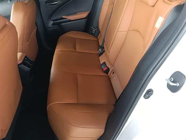 Фото 17 - Lexus UX Hybrid