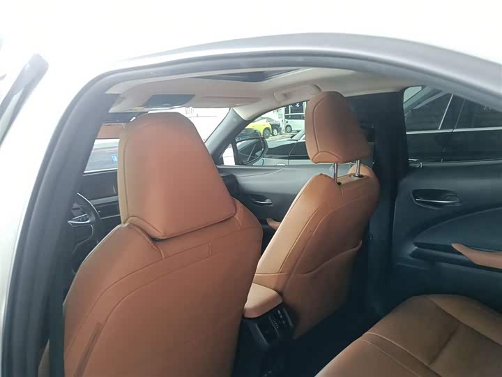 Фото 18 - Lexus UX Hybrid