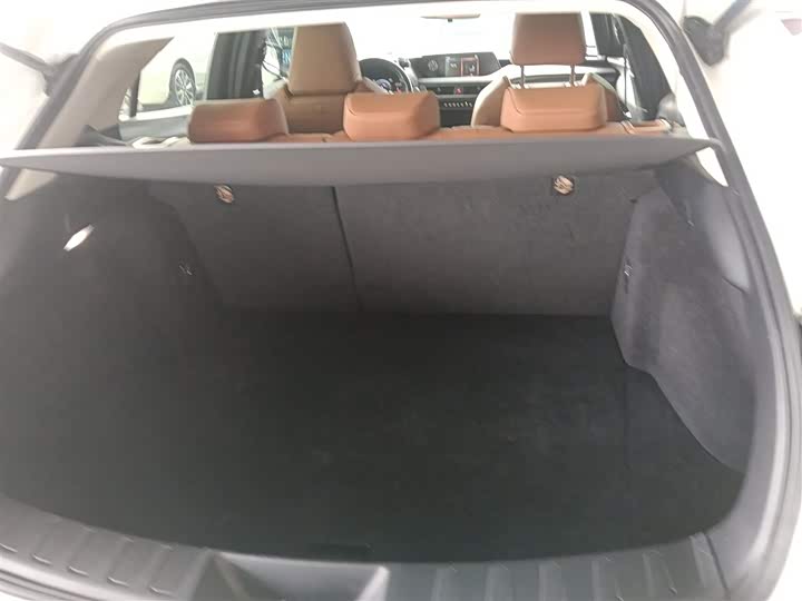 Фото 19 - Lexus UX Hybrid