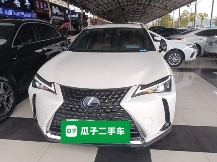 Фото 3 - Lexus UX Hybrid