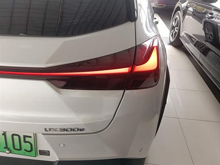 Фото 8 - Lexus UX Hybrid